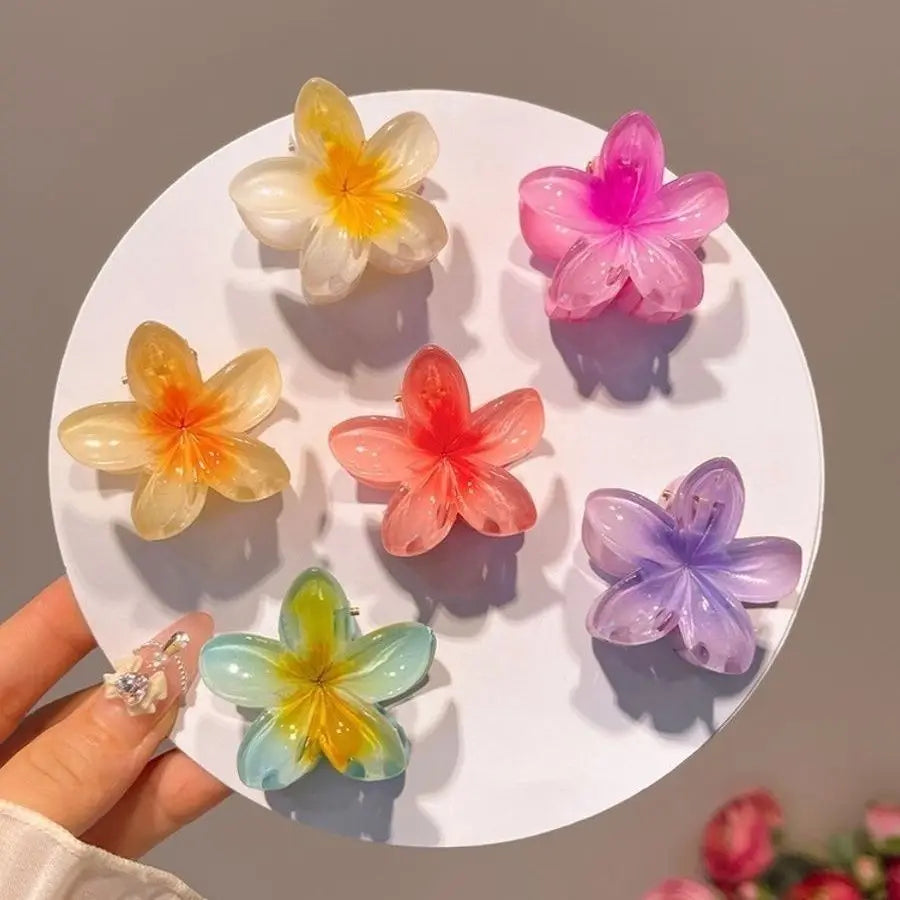 6Pcs Gradient Hair Clips New Flower Hair Claws Small Size Fashion Headwear Hairpin Crab Barrette Hair Accessories for Women