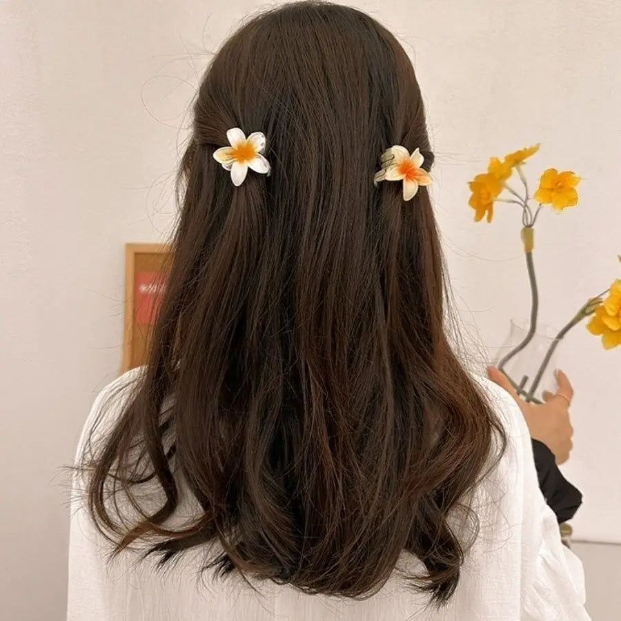6Pcs Gradient Hair Clips New Flower Hair Claws Small Size Fashion Headwear Hairpin Crab Barrette Hair Accessories for Women