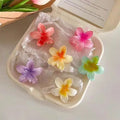 6Pcs Gradient Hair Clips New Flower Hair Claws Small Size Fashion Headwear Hairpin Crab Barrette Hair Accessories for Women
