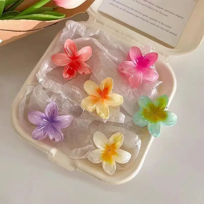 6Pcs Gradient Hair Clips New Flower Hair Claws Small Size Fashion Headwear Hairpin Crab Barrette Hair Accessories for Women